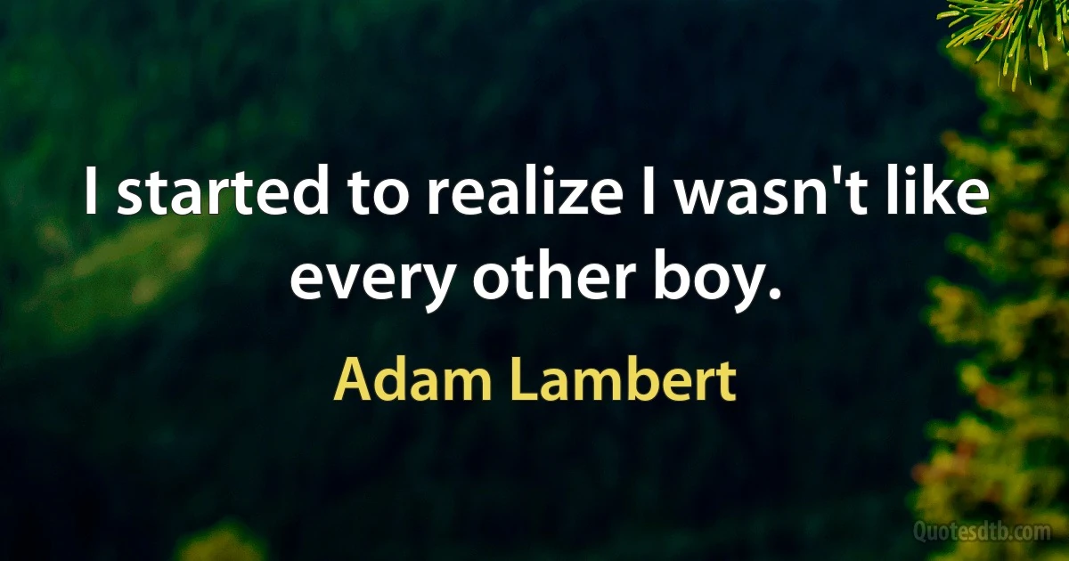 I started to realize I wasn't like every other boy. (Adam Lambert)