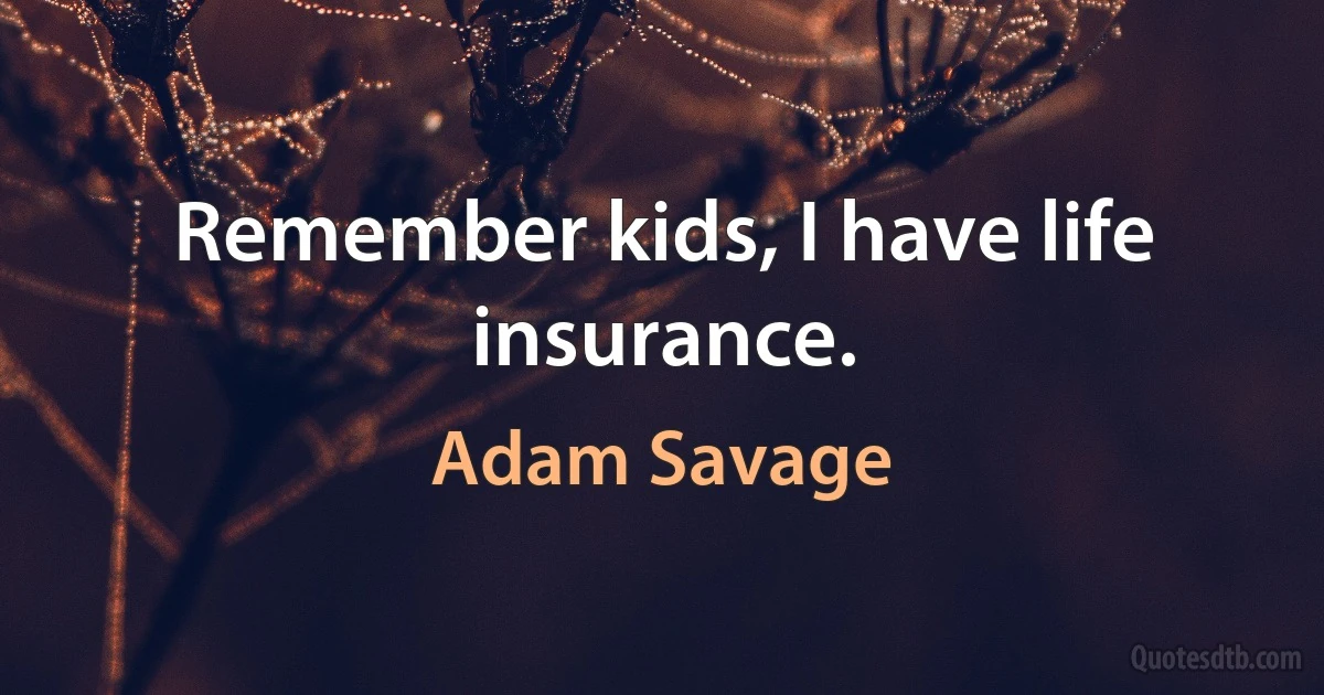 Remember kids, I have life insurance. (Adam Savage)