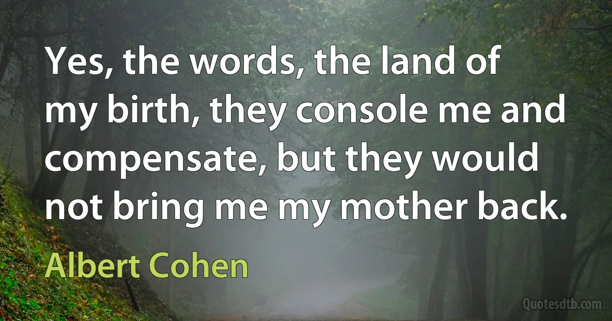 Yes, the words, the land of my birth, they console me and compensate, but they would not bring me my mother back. (Albert Cohen)