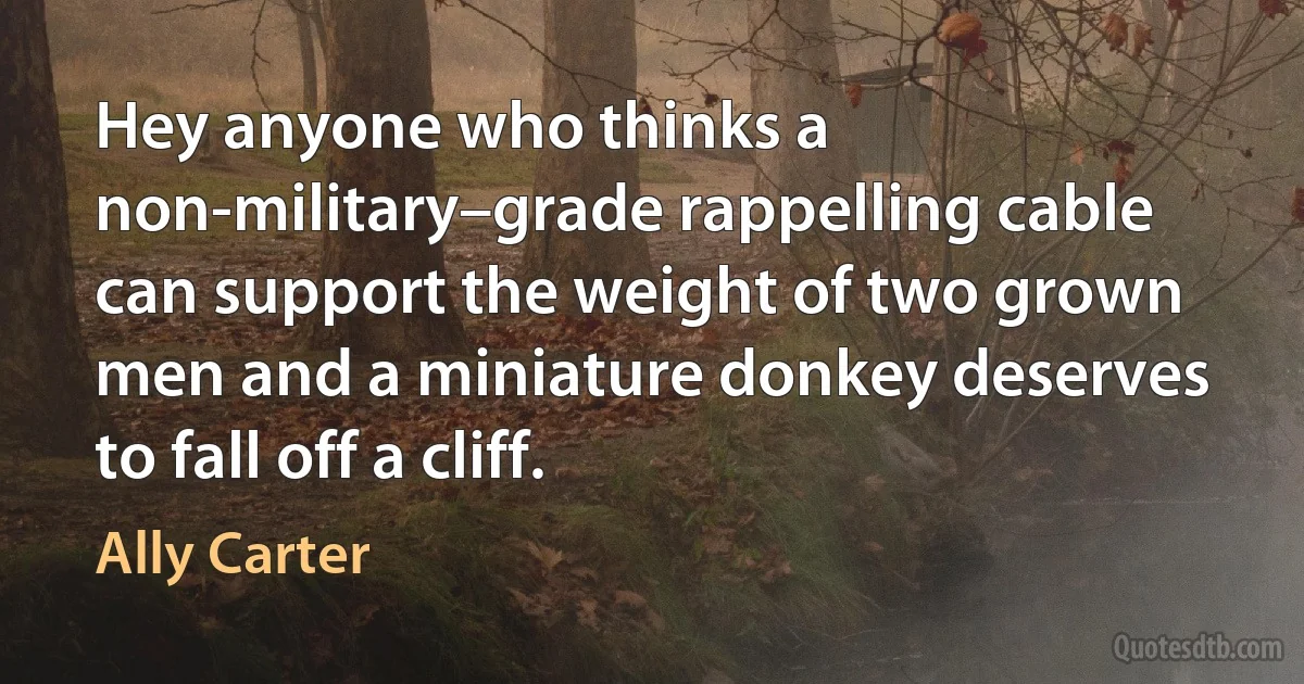 Hey anyone who thinks a non-military–grade rappelling cable can support the weight of two grown men and a miniature donkey deserves to fall off a cliff. (Ally Carter)