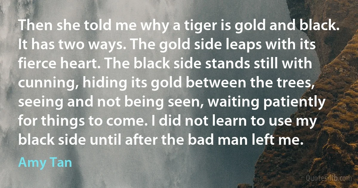 Then she told me why a tiger is gold and black. It has two ways. The gold side leaps with its fierce heart. The black side stands still with cunning, hiding its gold between the trees, seeing and not being seen, waiting patiently for things to come. I did not learn to use my black side until after the bad man left me. (Amy Tan)