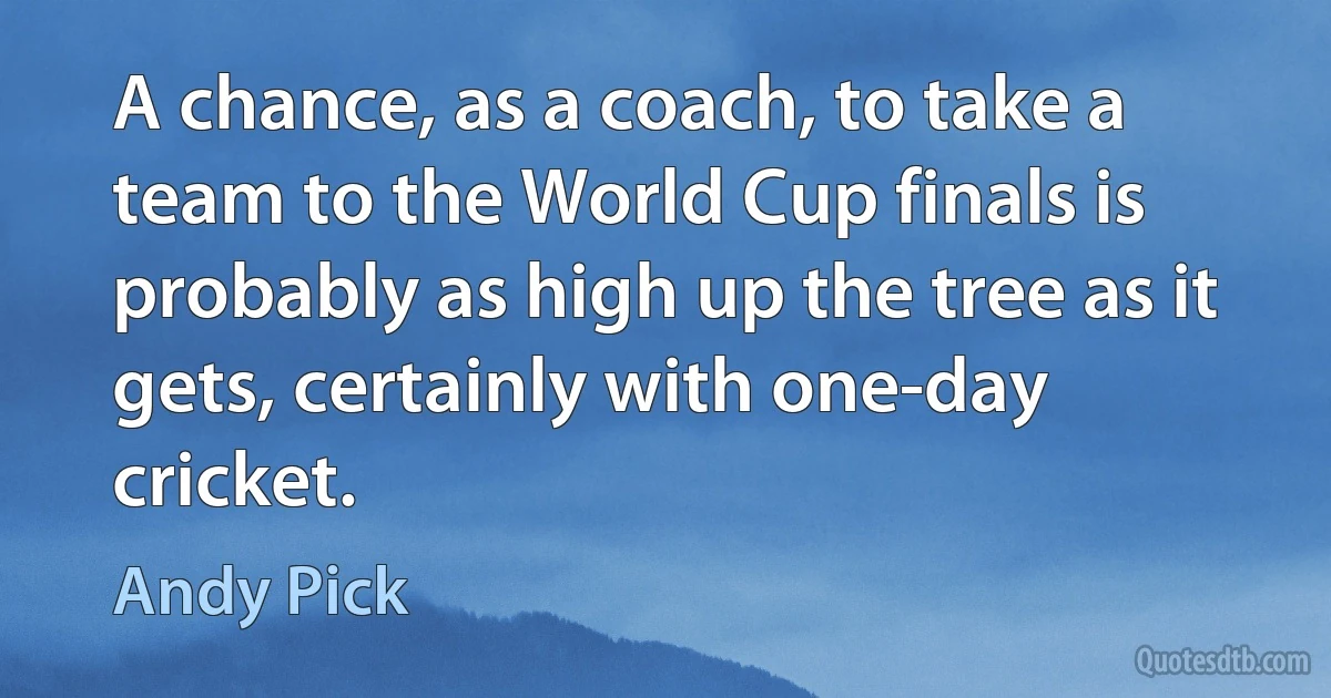 A chance, as a coach, to take a team to the World Cup finals is probably as high up the tree as it gets, certainly with one-day cricket. (Andy Pick)