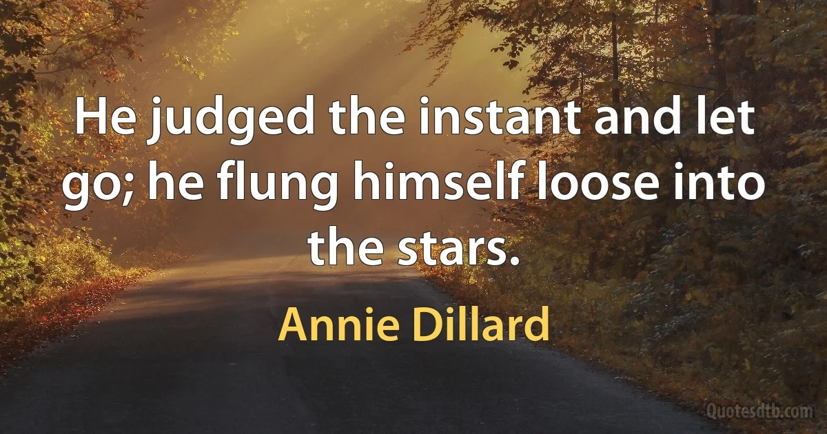 He judged the instant and let go; he flung himself loose into the stars. (Annie Dillard)