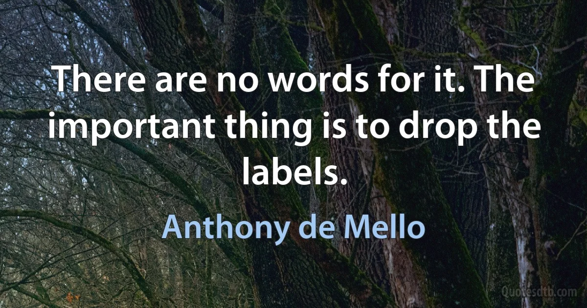 There are no words for it. The important thing is to drop the labels. (Anthony de Mello)