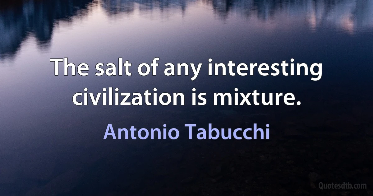 The salt of any interesting civilization is mixture. (Antonio Tabucchi)