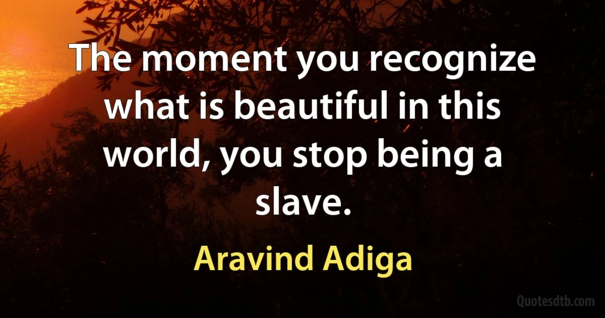 The moment you recognize what is beautiful in this world, you stop being a slave. (Aravind Adiga)