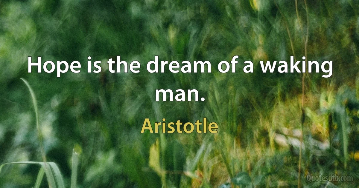 Hope is the dream of a waking man. (Aristotle)