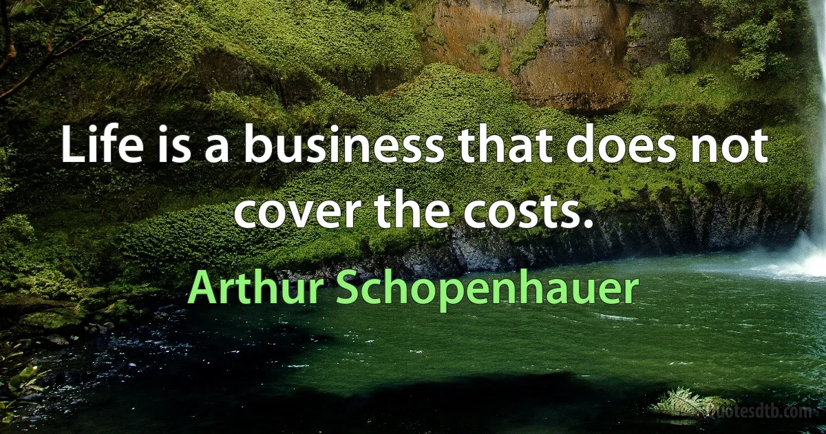 Life is a business that does not cover the costs. (Arthur Schopenhauer)