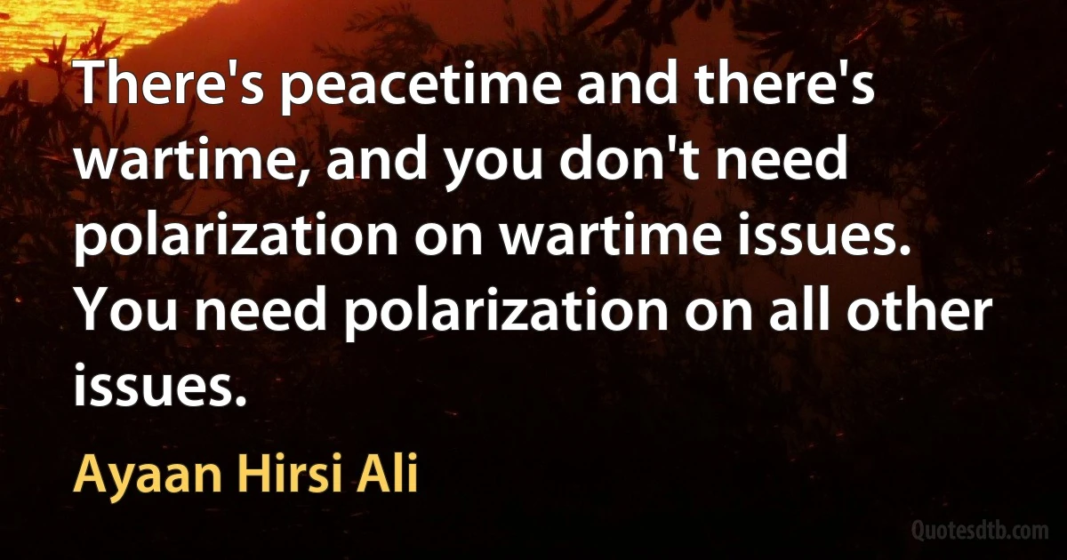 There's peacetime and there's wartime, and you don't need polarization on wartime issues. You need polarization on all other issues. (Ayaan Hirsi Ali)