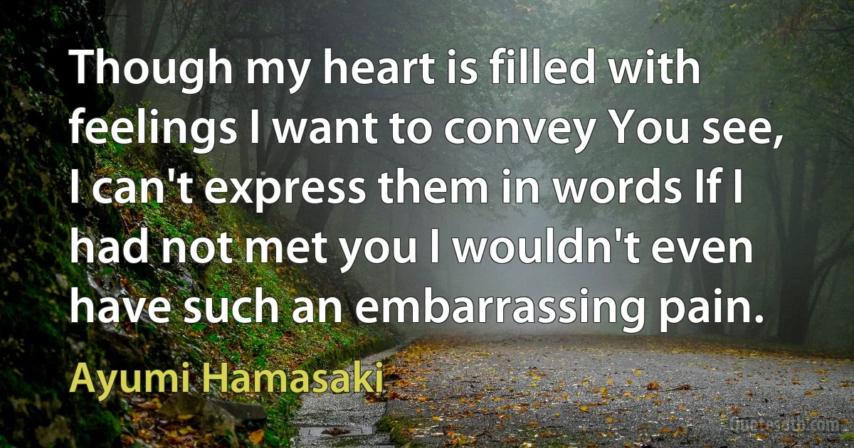 Though my heart is filled with feelings I want to convey You see, I can't express them in words If I had not met you I wouldn't even have such an embarrassing pain. (Ayumi Hamasaki)