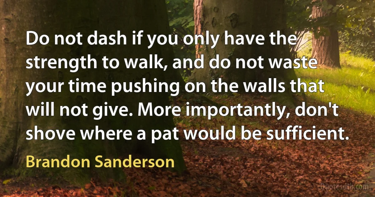 Do not dash if you only have the strength to walk, and do not waste your time pushing on the walls that will not give. More importantly, don't shove where a pat would be sufficient. (Brandon Sanderson)