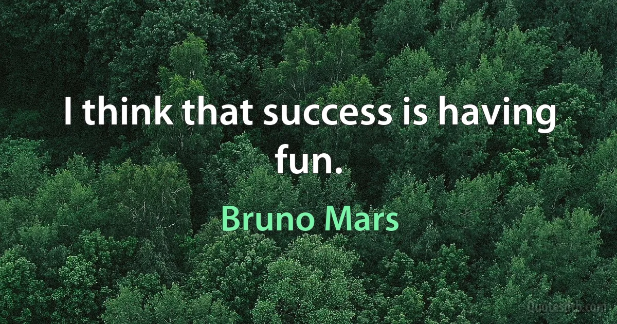 I think that success is having fun. (Bruno Mars)