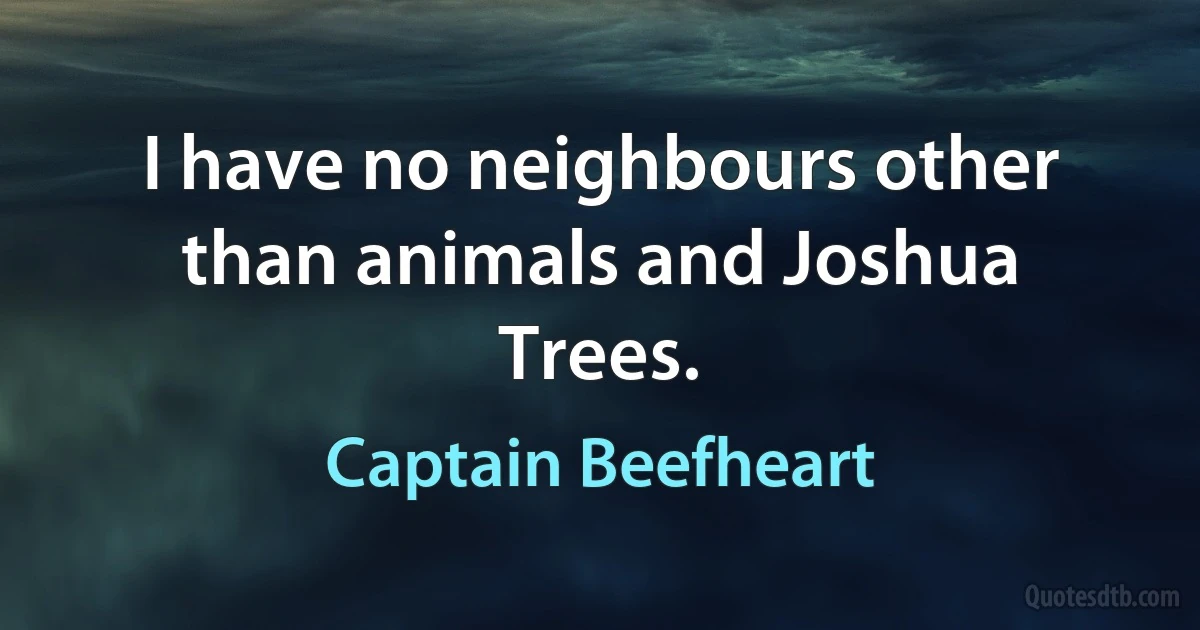 I have no neighbours other than animals and Joshua Trees. (Captain Beefheart)