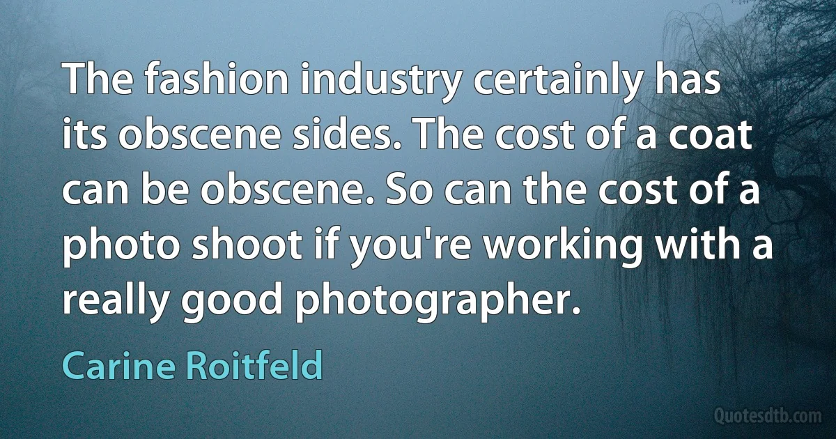 The fashion industry certainly has its obscene sides. The cost of a coat can be obscene. So can the cost of a photo shoot if you're working with a really good photographer. (Carine Roitfeld)