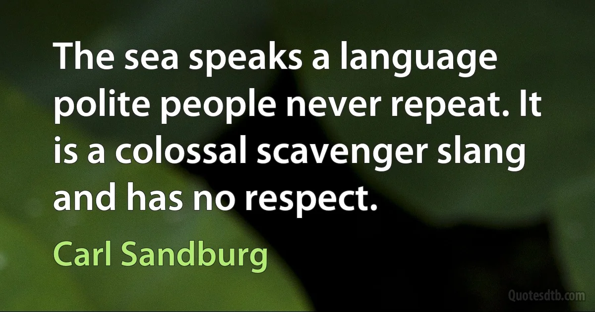 The sea speaks a language polite people never repeat. It is a colossal scavenger slang and has no respect. (Carl Sandburg)