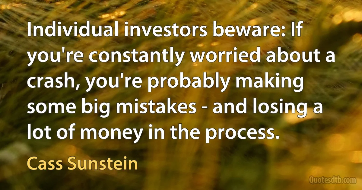 Individual investors beware: If you're constantly worried about a crash, you're probably making some big mistakes - and losing a lot of money in the process. (Cass Sunstein)