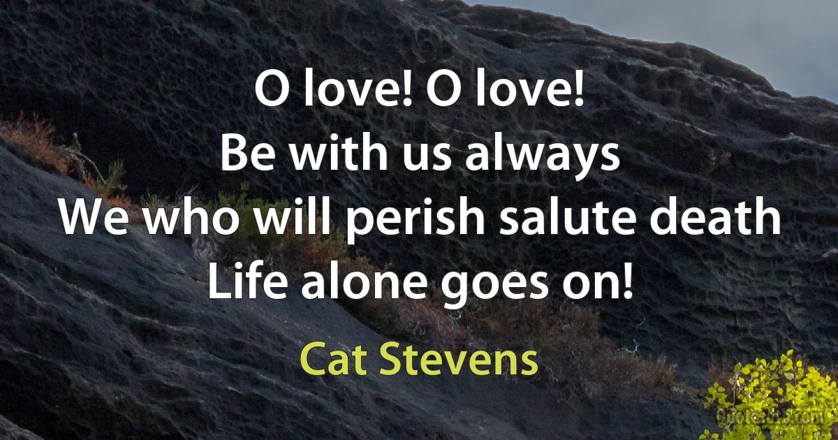 O love! O love!
Be with us always
We who will perish salute death
Life alone goes on! (Cat Stevens)