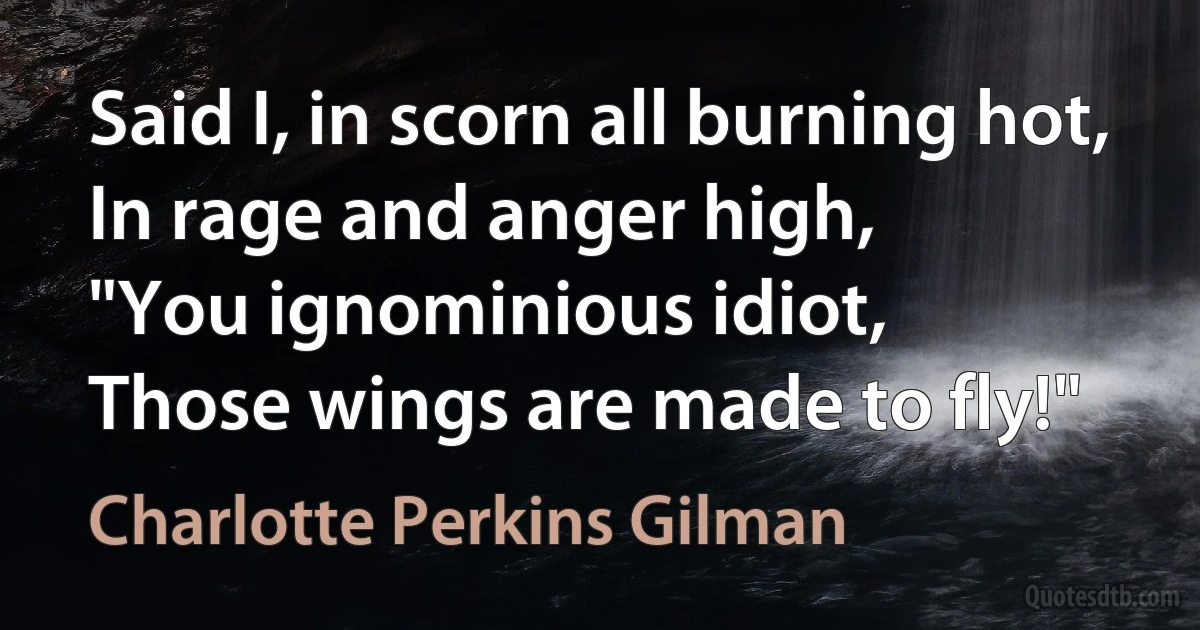 Said I, in scorn all burning hot,
In rage and anger high,
"You ignominious idiot,
Those wings are made to fly!" (Charlotte Perkins Gilman)