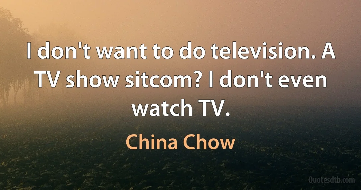 I don't want to do television. A TV show sitcom? I don't even watch TV. (China Chow)