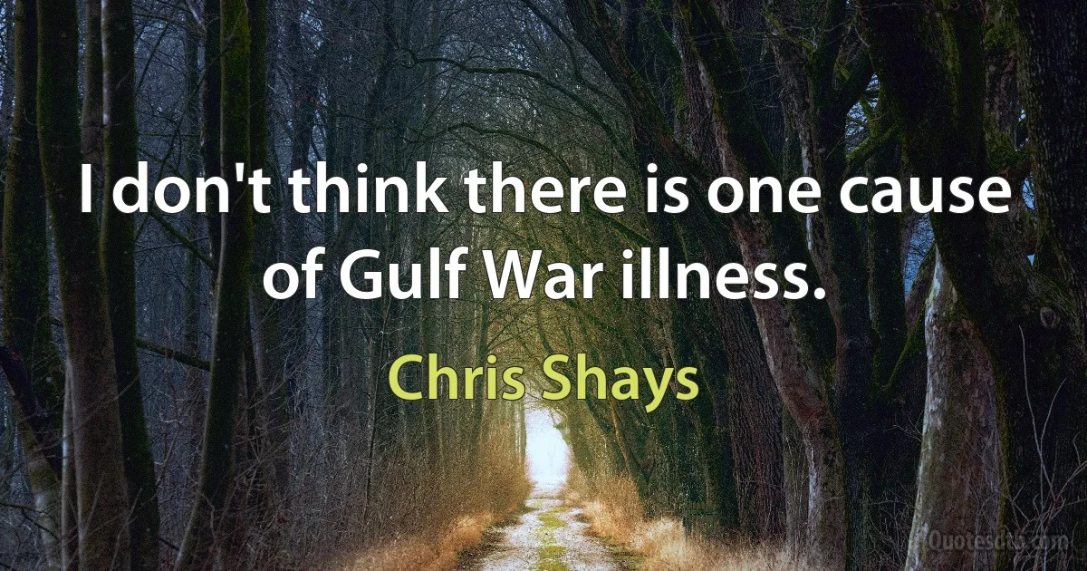 I don't think there is one cause of Gulf War illness. (Chris Shays)