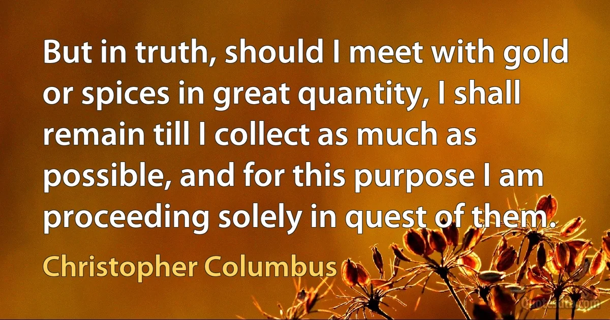 But in truth, should I meet with gold or spices in great quantity, I shall remain till I collect as much as possible, and for this purpose I am proceeding solely in quest of them. (Christopher Columbus)