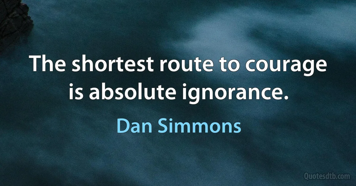 The shortest route to courage is absolute ignorance. (Dan Simmons)