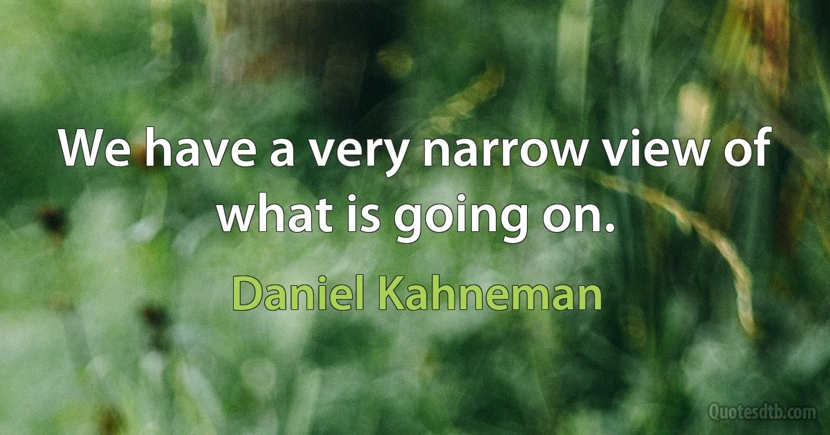 We have a very narrow view of what is going on. (Daniel Kahneman)