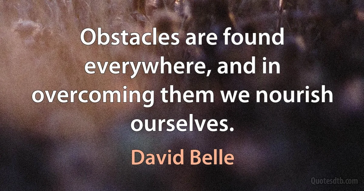 Obstacles are found everywhere, and in overcoming them we nourish ourselves. (David Belle)