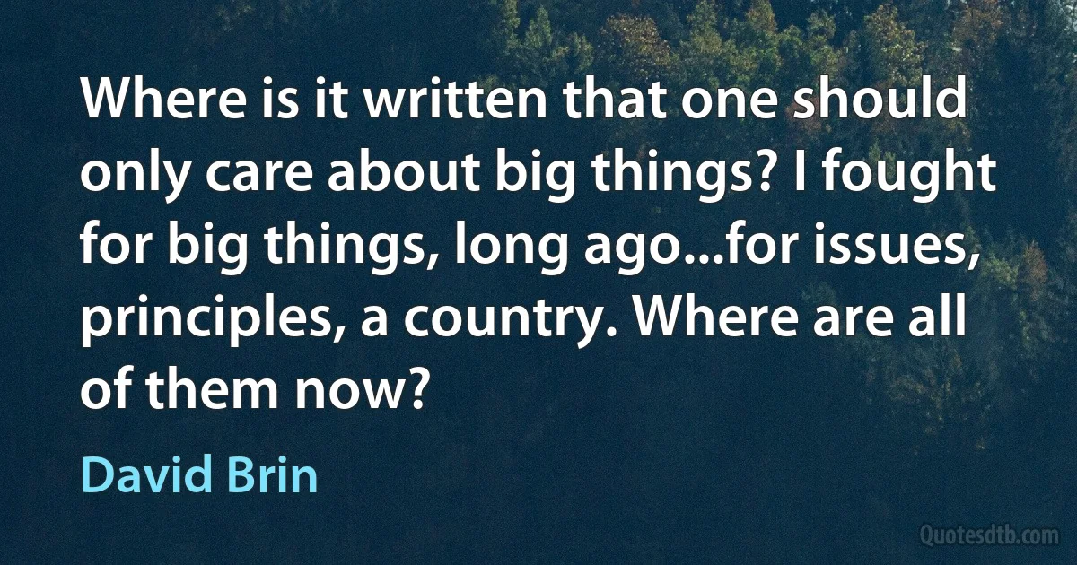 Where is it written that one should only care about big things? I fought for big things, long ago...for issues, principles, a country. Where are all of them now? (David Brin)