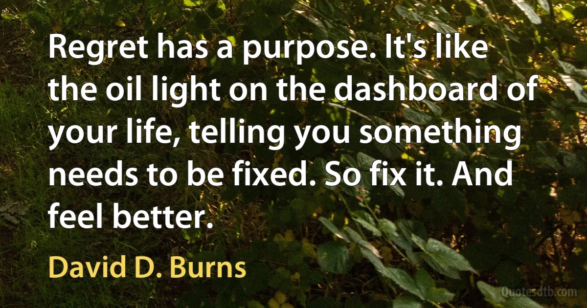 Regret has a purpose. It's like the oil light on the dashboard of your life, telling you something needs to be fixed. So fix it. And feel better. (David D. Burns)