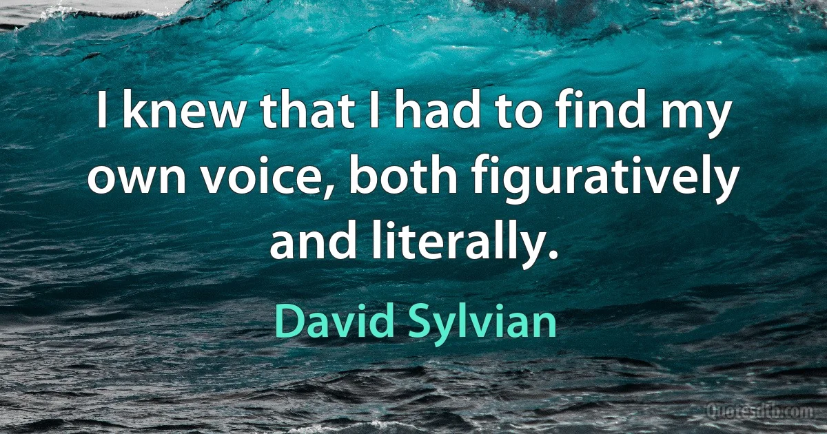 I knew that I had to find my own voice, both figuratively and literally. (David Sylvian)