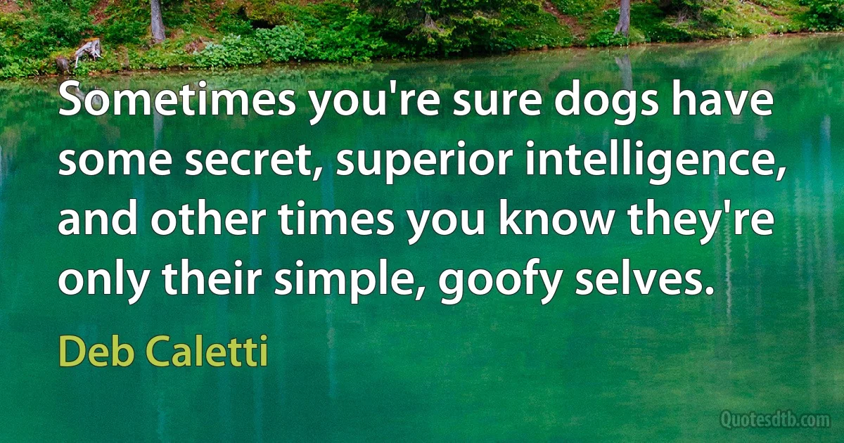 Sometimes you're sure dogs have some secret, superior intelligence, and other times you know they're only their simple, goofy selves. (Deb Caletti)