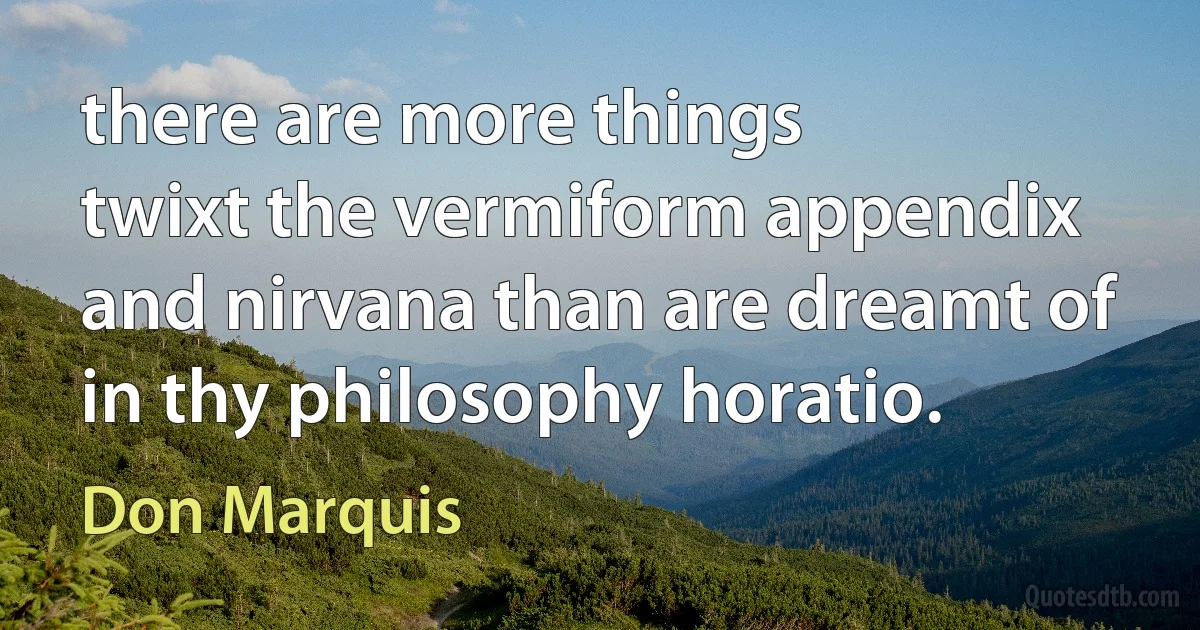 there are more things
twixt the vermiform appendix
and nirvana than are dreamt of
in thy philosophy horatio. (Don Marquis)