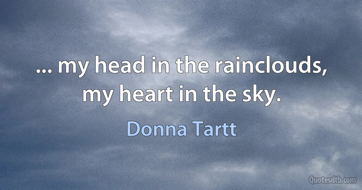 ... my head in the rainclouds, my heart in the sky. (Donna Tartt)