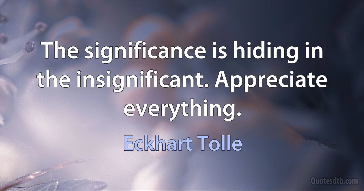 The significance is hiding in the insignificant. Appreciate everything. (Eckhart Tolle)