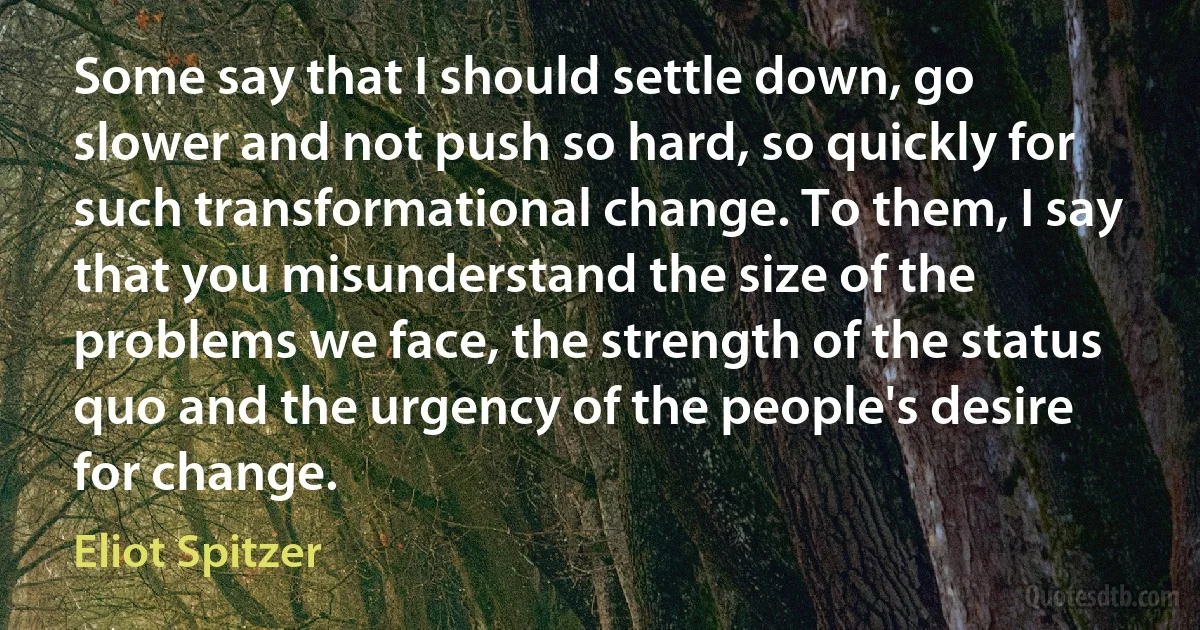 Some say that I should settle down, go slower and not push so hard, so quickly for such transformational change. To them, I say that you misunderstand the size of the problems we face, the strength of the status quo and the urgency of the people's desire for change. (Eliot Spitzer)