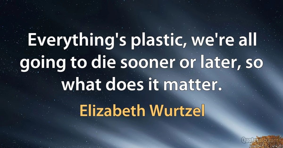 Everything's plastic, we're all going to die sooner or later, so what does it matter. (Elizabeth Wurtzel)