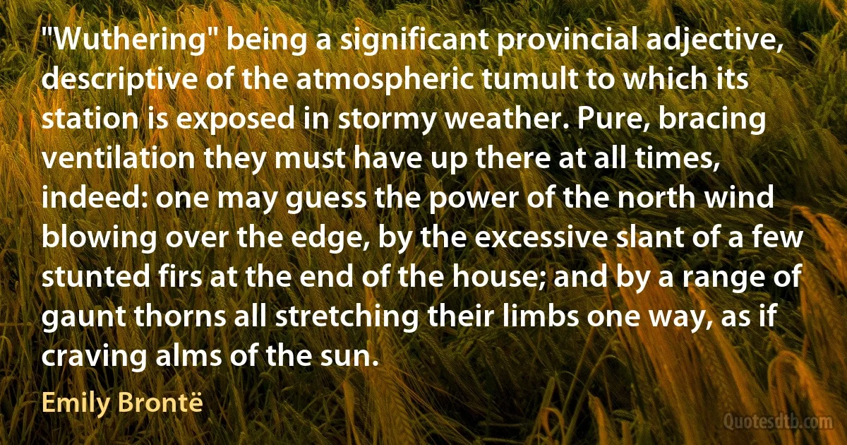 "Wuthering" being a significant provincial adjective, descriptive of the atmospheric tumult to which its station is exposed in stormy weather. Pure, bracing ventilation they must have up there at all times, indeed: one may guess the power of the north wind blowing over the edge, by the excessive slant of a few stunted firs at the end of the house; and by a range of gaunt thorns all stretching their limbs one way, as if craving alms of the sun. (Emily Brontë)