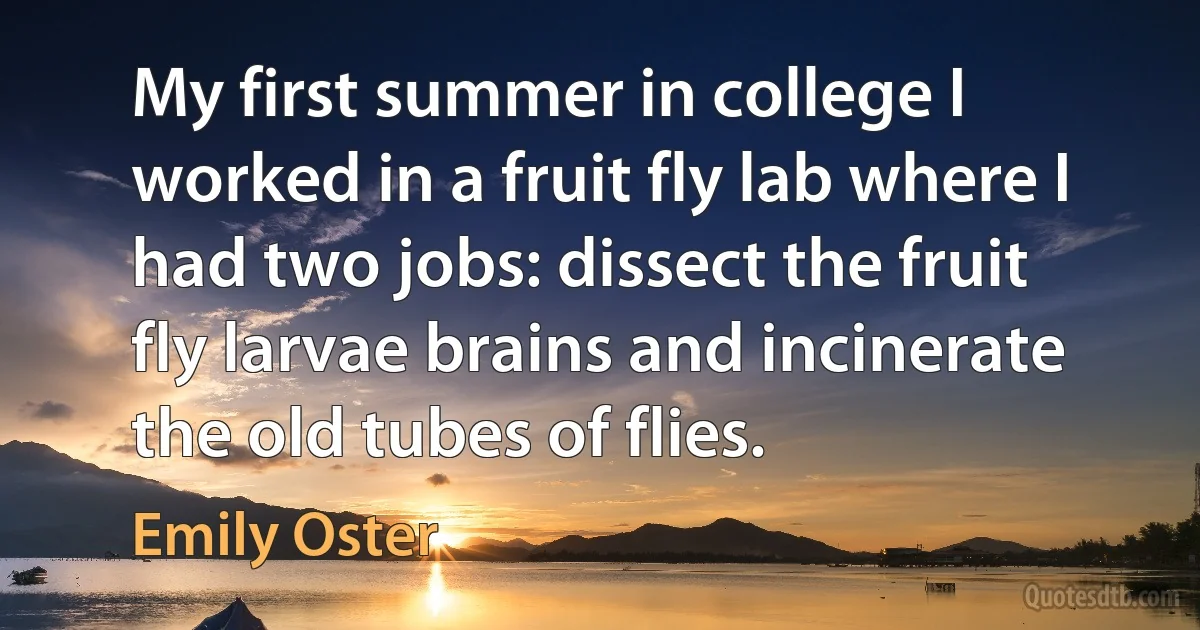 My first summer in college I worked in a fruit fly lab where I had two jobs: dissect the fruit fly larvae brains and incinerate the old tubes of flies. (Emily Oster)