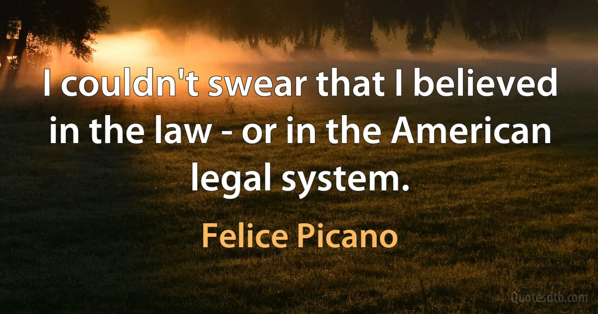 I couldn't swear that I believed in the law - or in the American legal system. (Felice Picano)