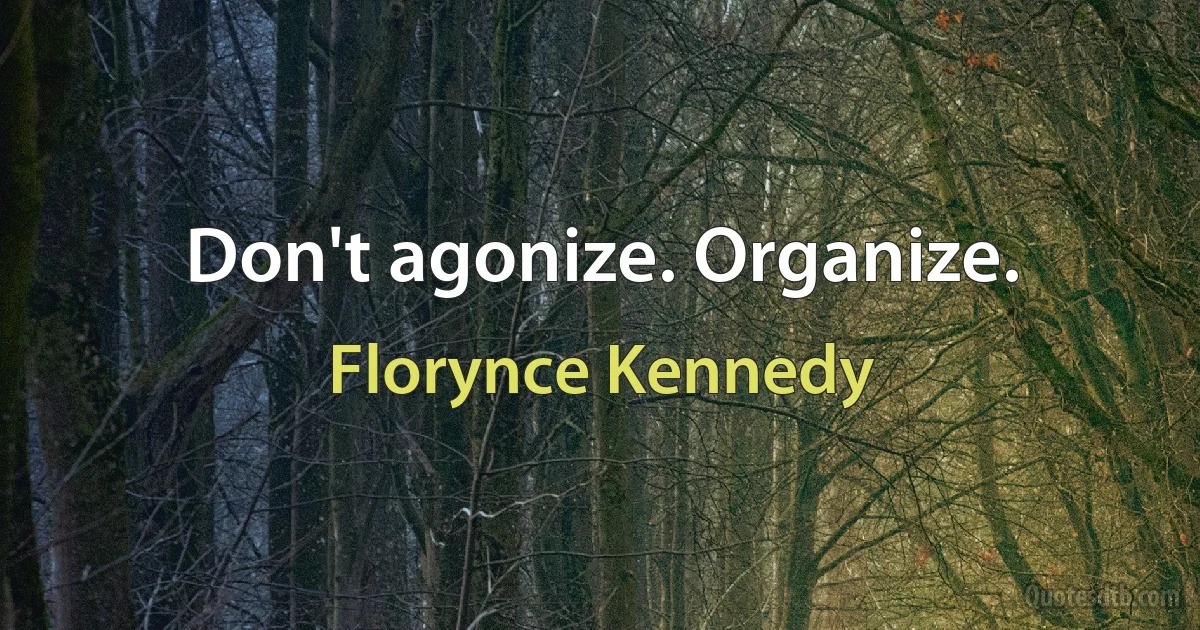 Don't agonize. Organize. (Florynce Kennedy)