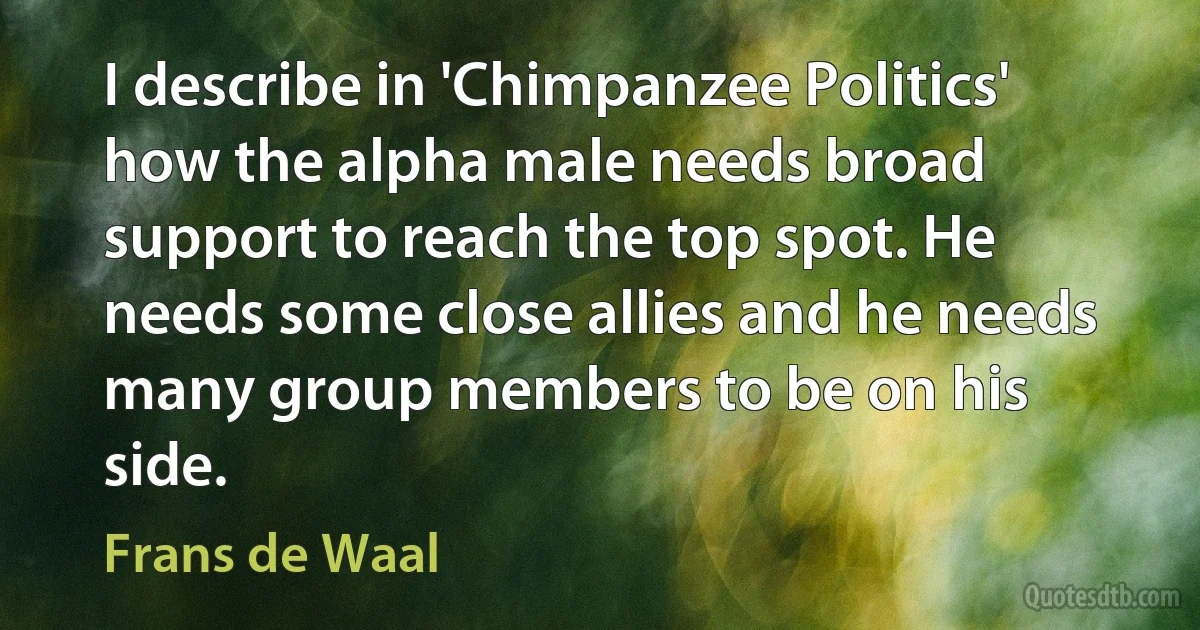 I describe in 'Chimpanzee Politics' how the alpha male needs broad support to reach the top spot. He needs some close allies and he needs many group members to be on his side. (Frans de Waal)