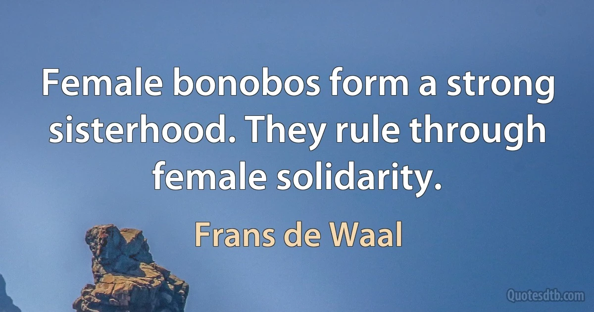 Female bonobos form a strong sisterhood. They rule through female solidarity. (Frans de Waal)