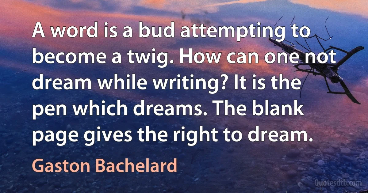 A word is a bud attempting to become a twig. How can one not dream while writing? It is the pen which dreams. The blank page gives the right to dream. (Gaston Bachelard)