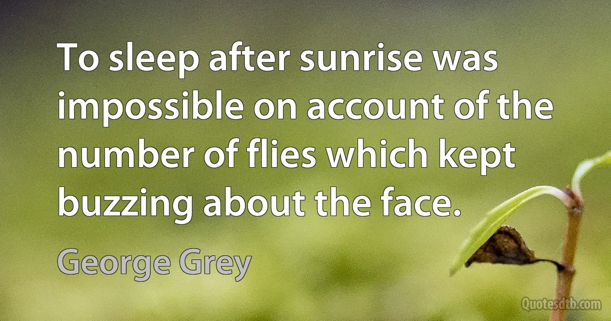 To sleep after sunrise was impossible on account of the number of flies which kept buzzing about the face. (George Grey)