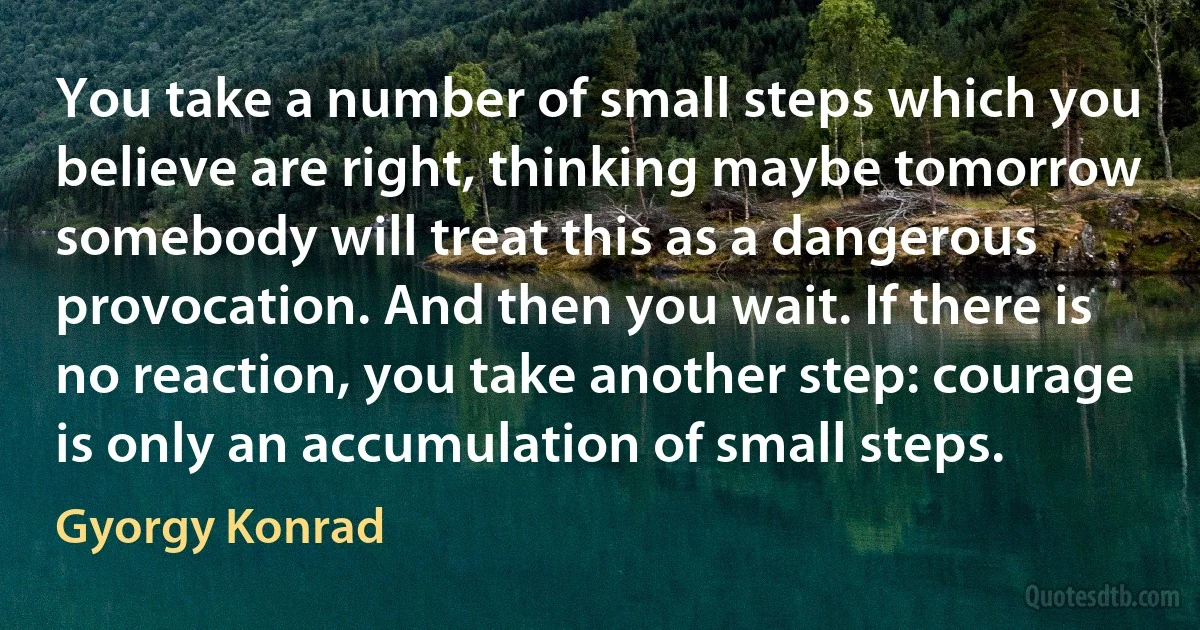 You take a number of small steps which you believe are right, thinking maybe tomorrow somebody will treat this as a dangerous provocation. And then you wait. If there is no reaction, you take another step: courage is only an accumulation of small steps. (Gyorgy Konrad)