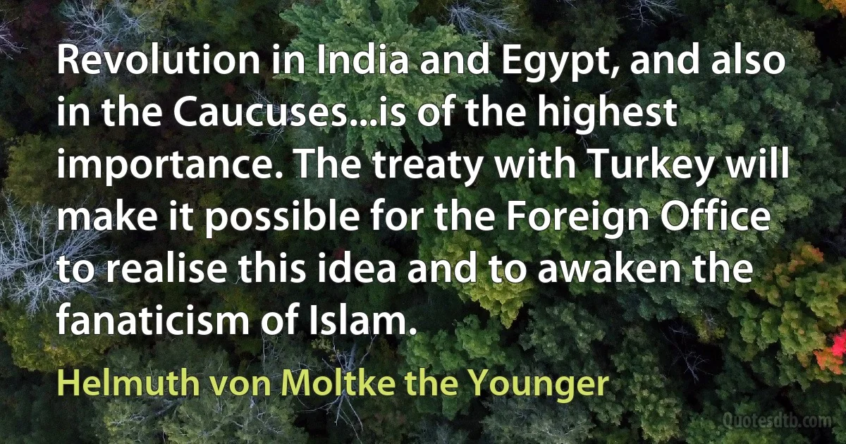 Revolution in India and Egypt, and also in the Caucuses...is of the highest importance. The treaty with Turkey will make it possible for the Foreign Office to realise this idea and to awaken the fanaticism of Islam. (Helmuth von Moltke the Younger)