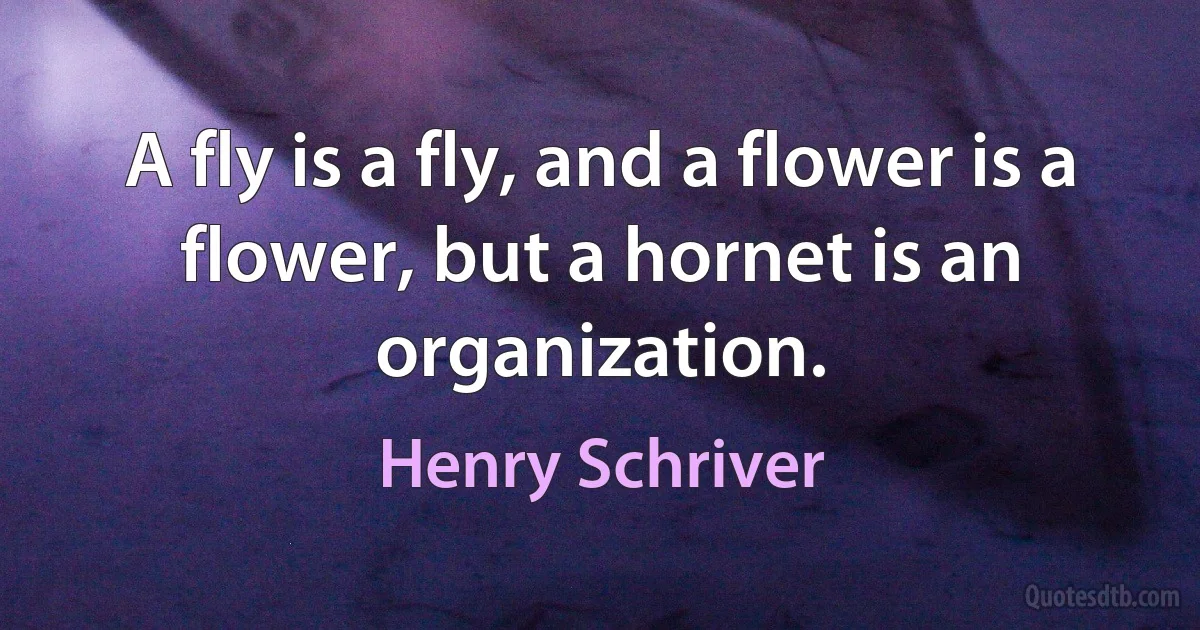 A fly is a fly, and a flower is a flower, but a hornet is an organization. (Henry Schriver)