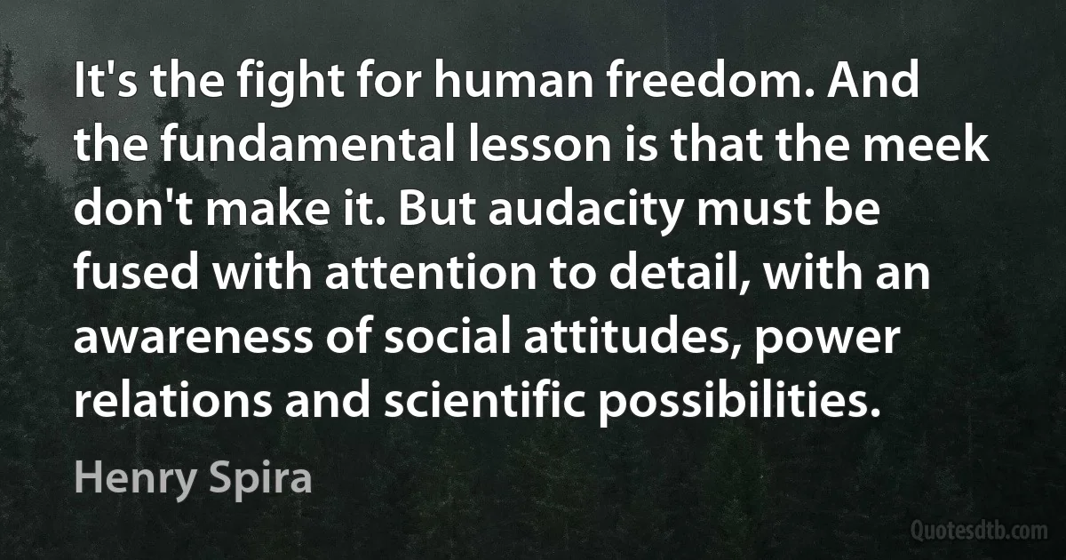 It's the fight for human freedom. And the fundamental lesson is that the meek don't make it. But audacity must be fused with attention to detail, with an awareness of social attitudes, power relations and scientific possibilities. (Henry Spira)