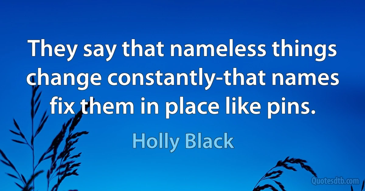 They say that nameless things change constantly-that names fix them in place like pins. (Holly Black)